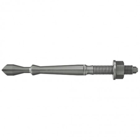 w2_p_p_fhb-ii-al-a4-m8-cgi_f_sall_aqq_v1.jpg