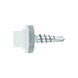 fs_ral_90101-1.tif_normal.png