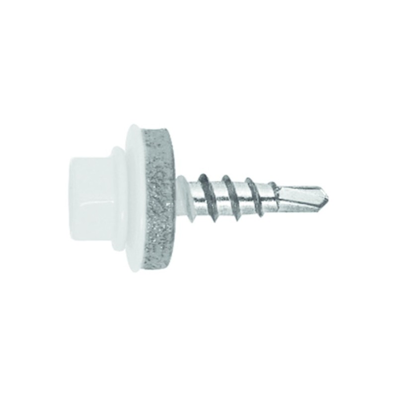 fs_ral_90101-1.tif_normal.png
