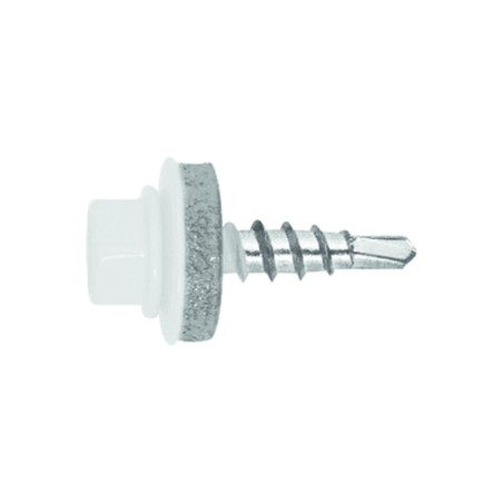 fs_ral_90101-1.tif_normal.png